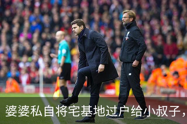 婆婆私自将宅基地过户给小叔子，中秋想来我家常住，我礼貌回复
